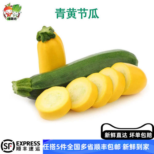 新鲜青黄节瓜青黄西葫芦蔬菜沙拉