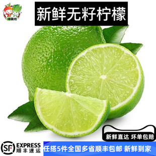 奶茶店食材500克 无籽青柠檬酒店专用 绿蔬坊