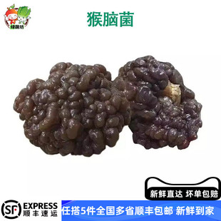 猴脑菌野山菌猴脑菌玛卡菌核桃菌干货脆鲜嫩爽营养丰富老少咸宜