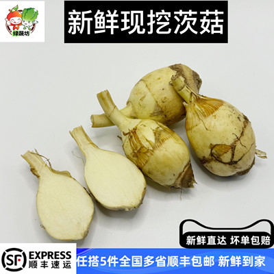 【绿蔬坊】新鲜茨菇茨菰白慈姑白马蹄芽菇现挖当季蔬菜大慈菇