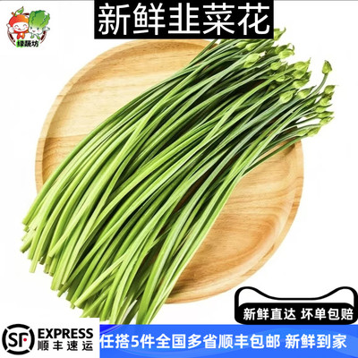 新鲜韭菜苔500g韭菜花广东特菜韭菜花韭苔鲜嫩大韭菜农家自种