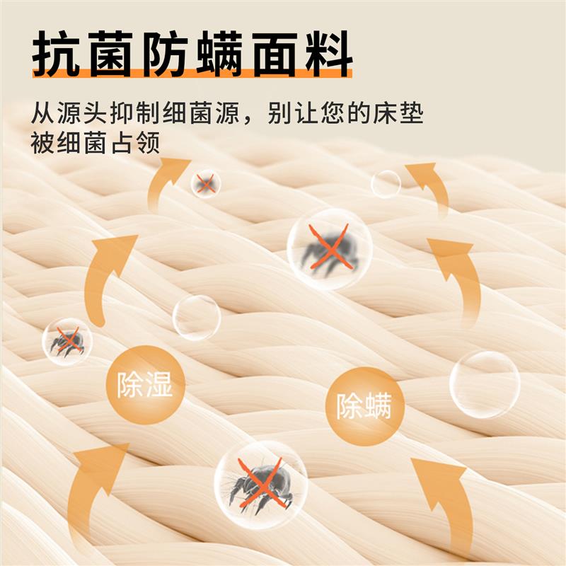 椰棕床垫偏硬垫护脊1.2米儿童家用卧室学校单人租房棕榈垫可定制