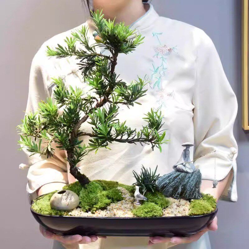 造型络黑罗汉松盆景室内植物庭院老桩办公室客厅摆件观赏大盆栽