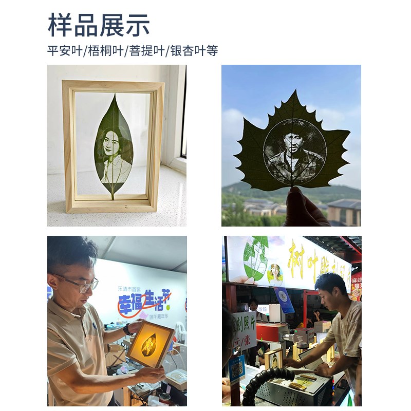 新汉工树叶叶雕激光雕刻机小型全自动叶雕机叶子打印雕刻照片机器
