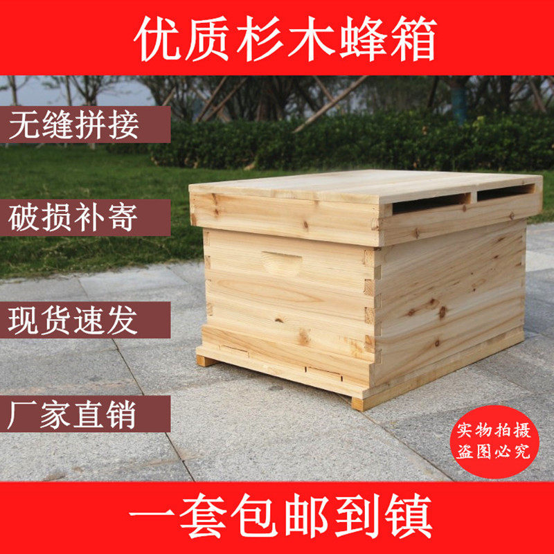 养蜂工具蜂箱中蜂十框蜂箱杉木意蜂蜂箱蜜蜂箱平箱蜜蜂桶中蜂蜂箱