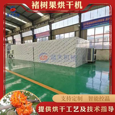 褚树果烘干机 空气能热泵构树果楮实子脱水烘干房 野杨梅子干燥机