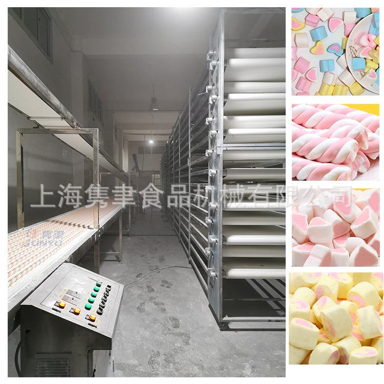 新品直销 棉花糖成型机 棉花糖挤出成型设备 充气糖浇注成型设备