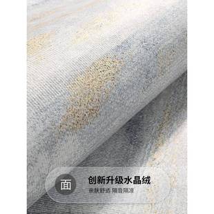 天津沙发茶几床边卧室地毯免洗可擦 地毯客厅轻奢家用新款