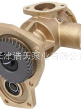 橡胶叶轮泵65.06800-7006B  D5005 L126TI 海水 清水 淡水 污水泵