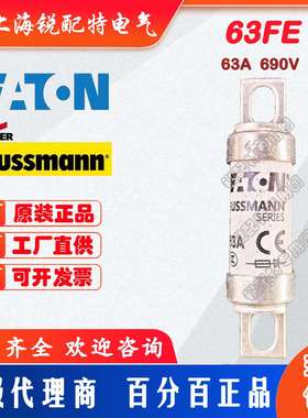 63FE陶瓷管保险丝 63A 690V 巴斯曼BUSSMANN熔断器