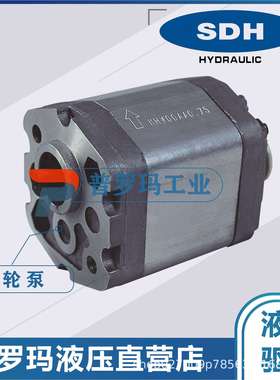 SDH齿轮泵液压泵油泵CBD2-F306 CBD2-F314 CBD2-F308 CBD2-F312