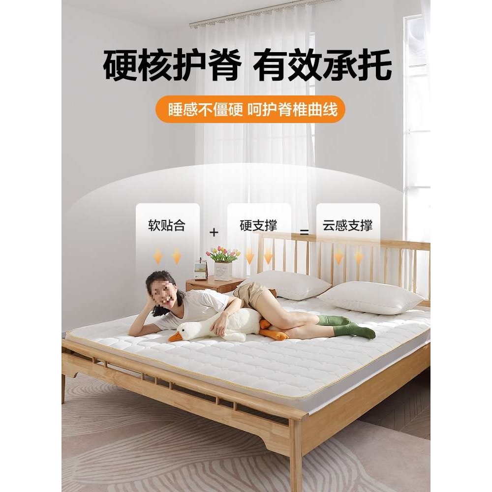 天然椰棕床垫2米乘2米2大尺寸1.35m加硬护腰脊偏软乳胶可可订新品