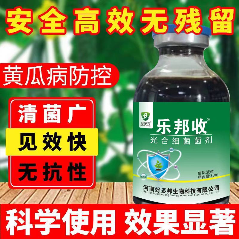 黄瓜病全治黄瓜专用药黄瓜杀菌剂叶面肥黄瓜霜霉褐斑叶枯特效药