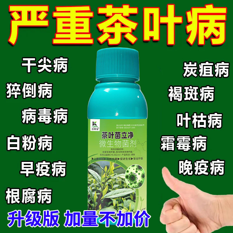 茶叶专用药黄叶病死苗根腐病叶斑病白绢病茶饼病白星病