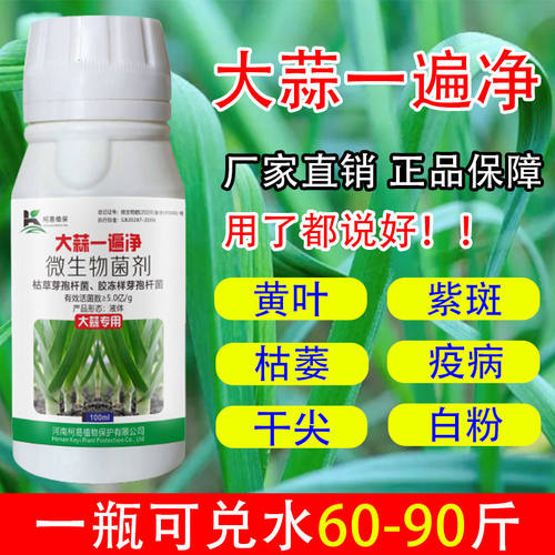 大蒜专用病全治黄叶干尖锈病紫斑病根腐病软腐病蒜苗杀菌剂