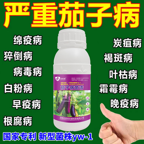 好多邦茄子病菌清防治病害促成长