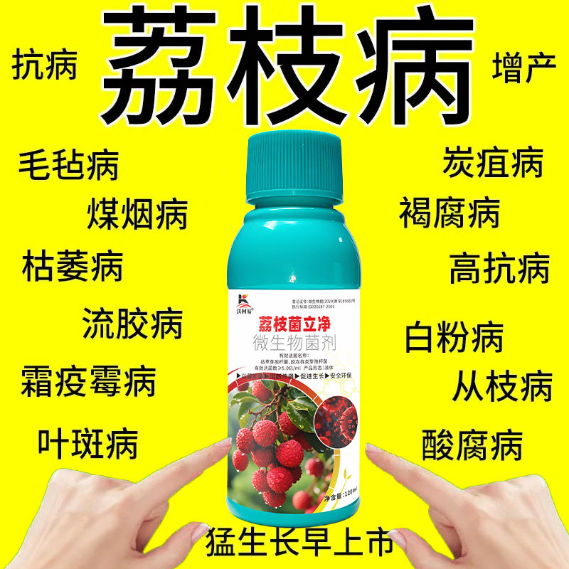 沃柯易荔枝菌立净防治结合促成长