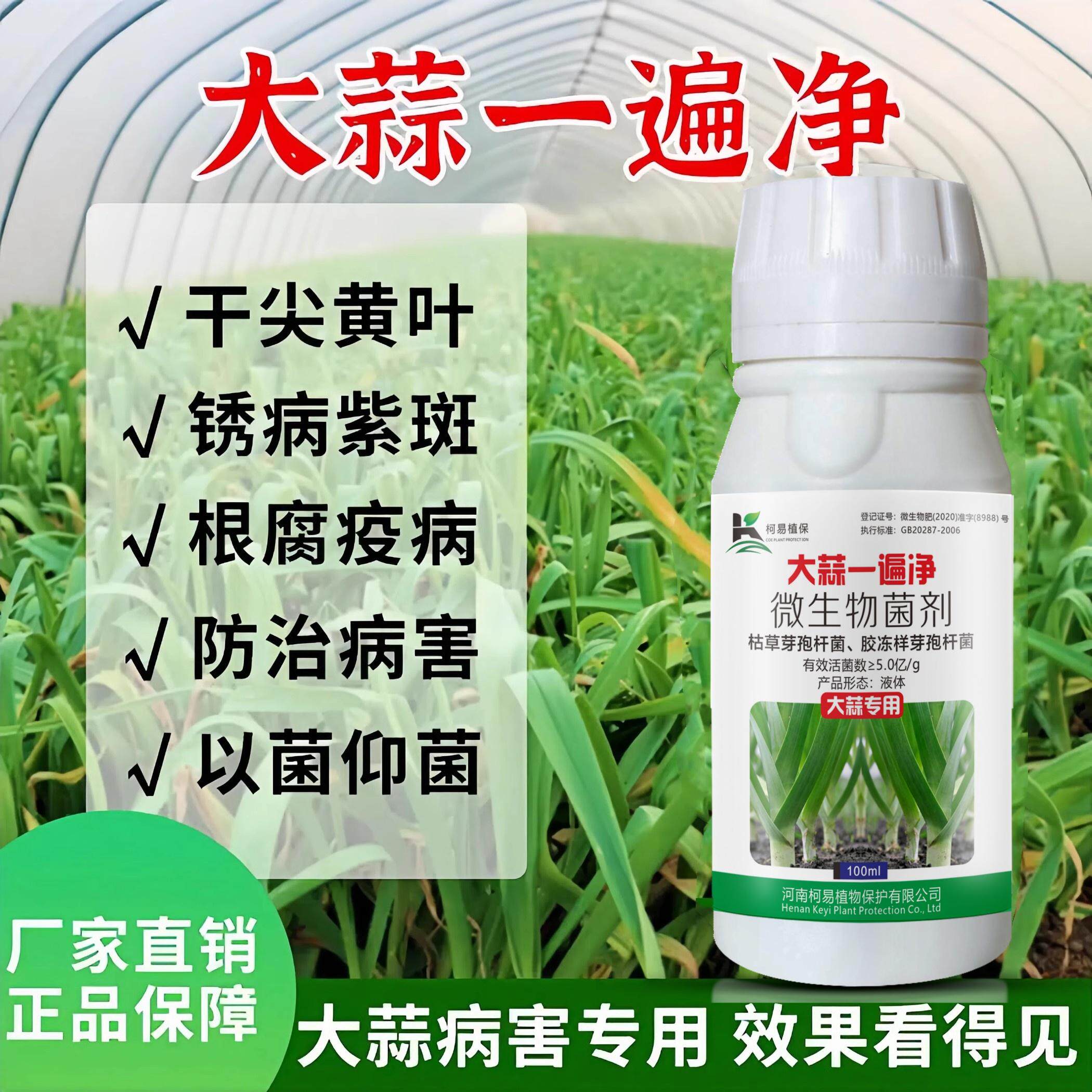 蒜苔杀菌剂叶面肥锈病