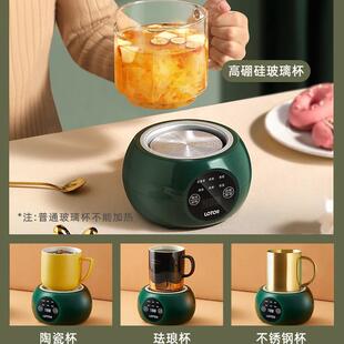 LOTOR养生壶迷你养生杯家用办公室玻璃烧水壶多功能电炖煮茶器