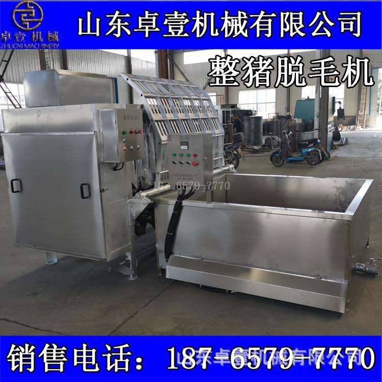 全自动整猪脱毛机屠宰场专用生猪打毛机杀猪刮毛神器猪打毛刨毛机