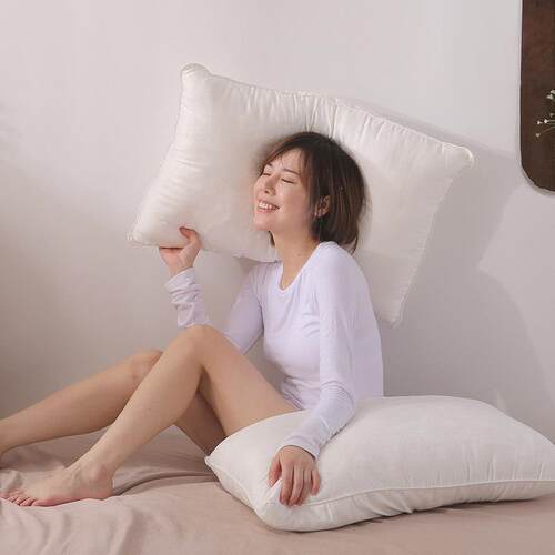 60木本棉提花大豆纤维超细羽丝枕 柔软单双人家用枕头芯子（2只）