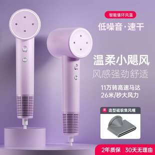 跨境工厂家用吹风机不伤发大吹力大功率恒温无刷负离子电吹风