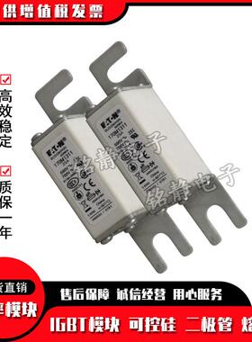 170M2691 170M2692 170M2693 170M2694 170M2695 170M2696熔断器