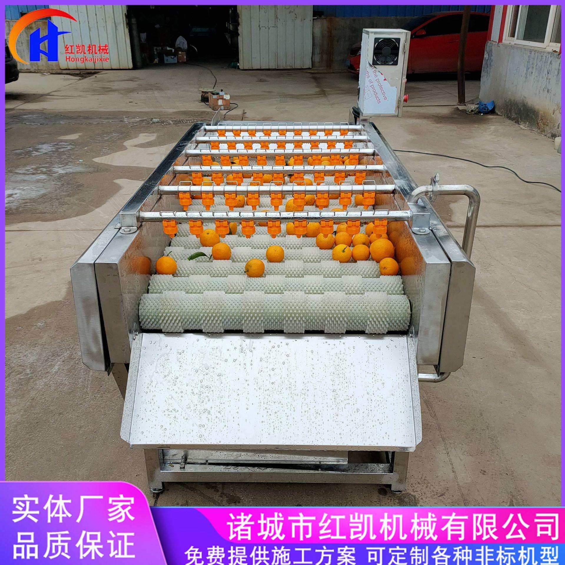 厂家供应平行毛辊清洗机 高压喷淋粽叶清洗机 全自动果蔬清洗机