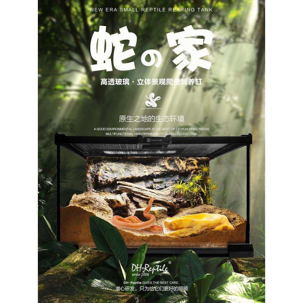 宠物蛇蛇造景玻璃饲养缸生态环境爬宠缸雨林缸水陆缸景观