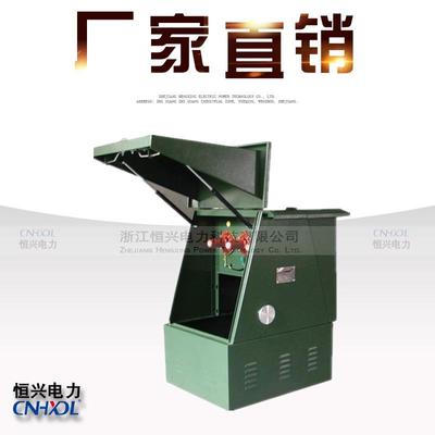 防洪型高压电缆分接箱DFW-12欧式冷轧钢板12KV一进二出带避雷器