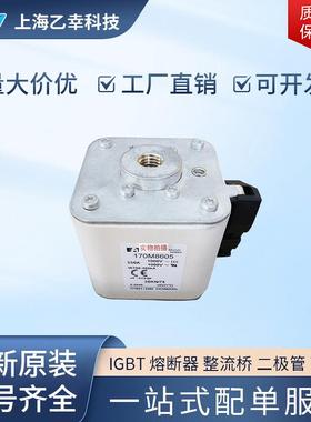 巴斯曼熔断器 170M8634 170M8635 170M8636 170M8637 170M8638