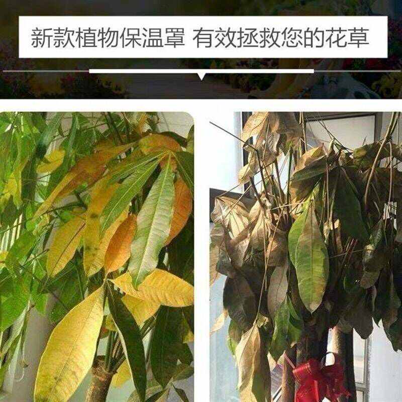 冬季室外植物防寒保暖罩树木过冬保温花卉防冻薄膜塑料布果树套袋