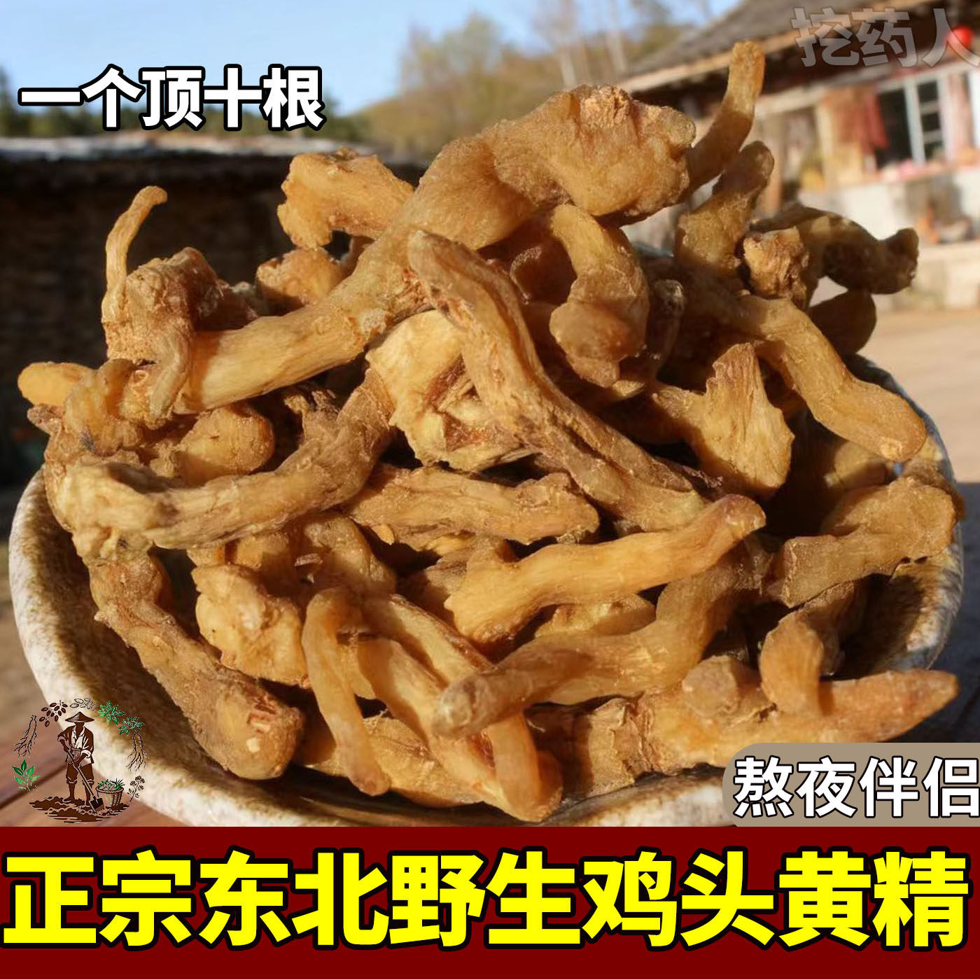 东北野生黄精新鲜中药材鸡头黄精图片