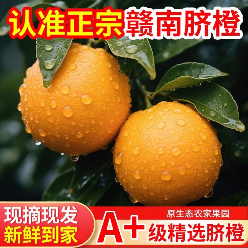 正宗江西橙子赣南脐橙官方旗舰店新鲜10斤20赣州产地直发现摘现发,水产肉类/新鲜蔬果/熟食,橙,淘宝优惠券,粉丝福利购,淘宝优惠卷
