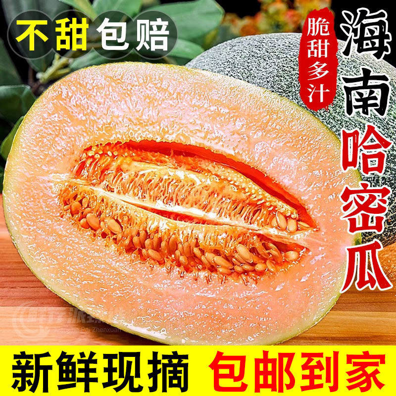 正宗哈密瓜9斤当季新鲜水果甜一整箱包邮现摘网纹瓜老汉瓜礼盒装,水产肉类/新鲜蔬果/熟食,哈密瓜,淘宝优惠券,粉丝福利购,淘宝优惠卷