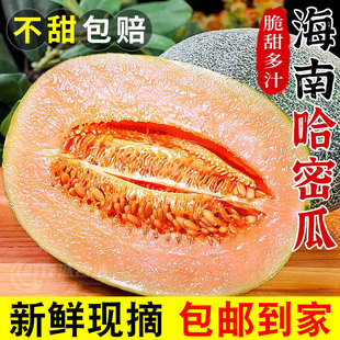 正宗哈密瓜9斤当季新鲜水果甜一整箱包邮现摘网纹瓜老汉瓜礼盒装