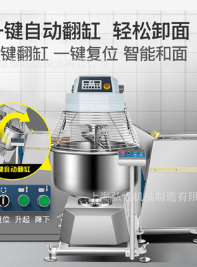 200L260L300L大型双速双动翻缸和面机搅面 自动倾翻斗和面机厂家