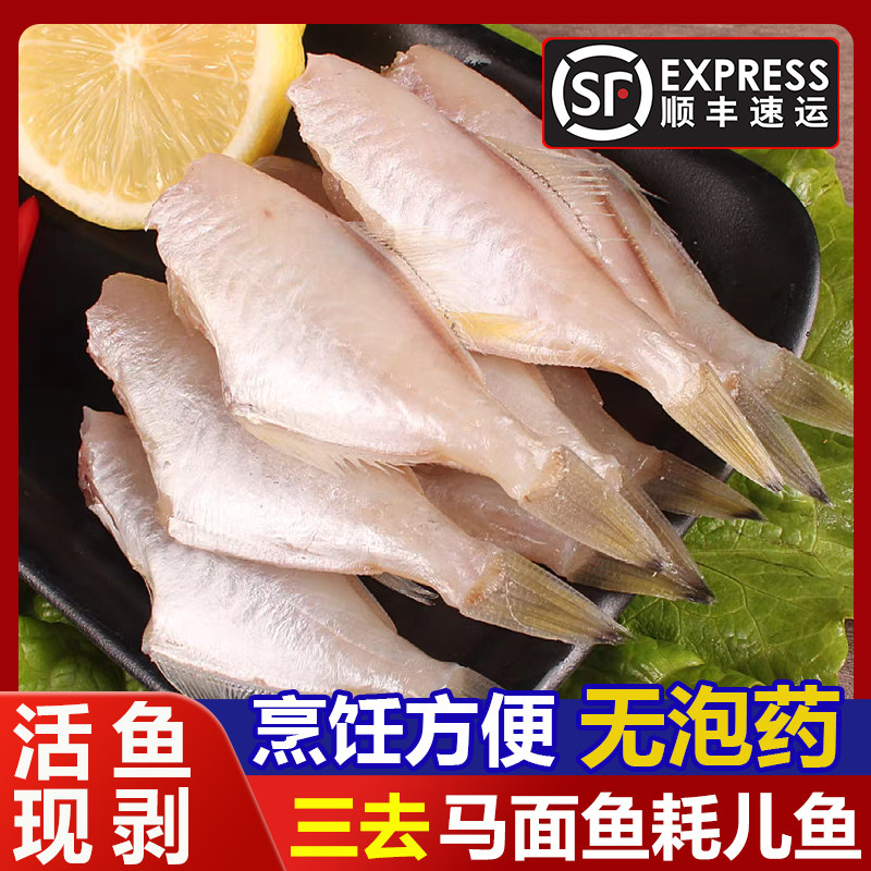 新鲜马面鱼耗儿鱼活鱼加工剥皮鱼橡皮鱼面包鱼去头去皮去脏发顺丰,水产肉类/新鲜蔬果/熟食,比目鱼/多宝鱼/鸦片鱼/龙利鱼,淘宝优惠券,粉丝福利购,淘宝优惠卷