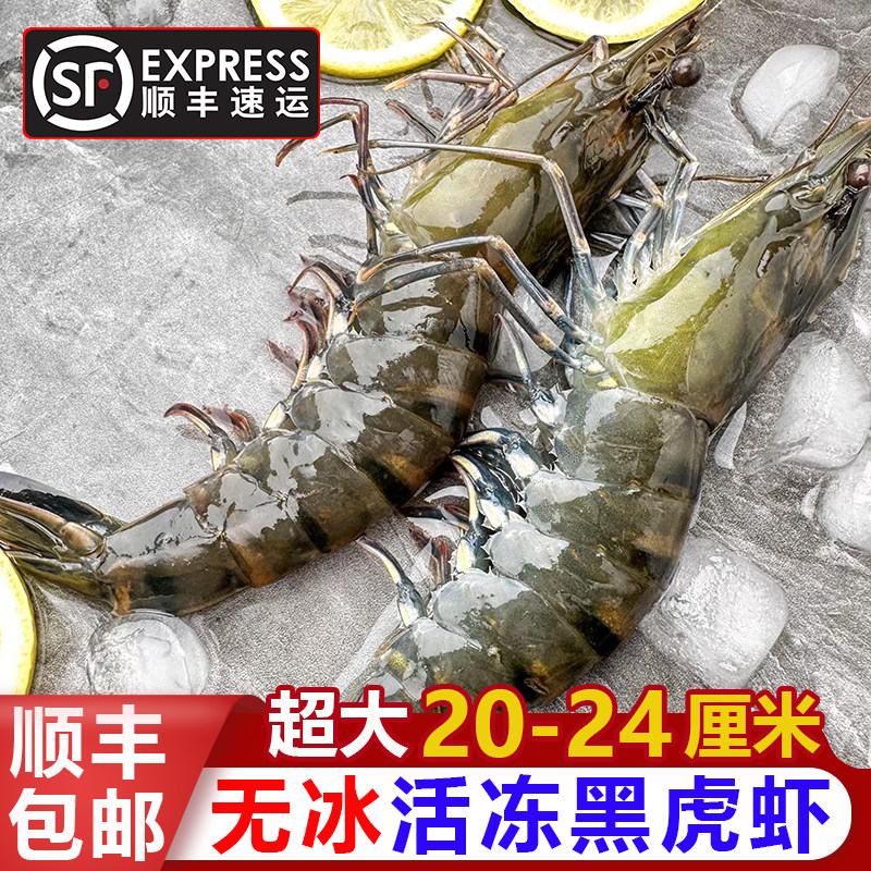 活冻黑虎虾无冰特大老虎虾3斤鲜活速冻肉质紧实不泡药水顺丰包邮