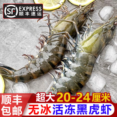 活冻黑虎虾无冰特大老虎虾3斤鲜活速冻肉质紧实不泡药水顺丰包邮