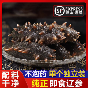 大连海参辽刺参单个独立包装开袋即食免处理深海底播顺丰包邮