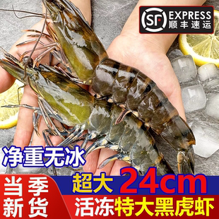 活冻黑虎虾无冰特大老虎虾3斤鲜活速冻肉质紧实不泡药水顺丰包邮