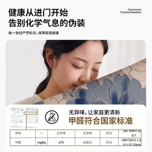 玄关地毯高级感进门耐脏防滑脚垫 入户门地垫门垫进门家用2025新款