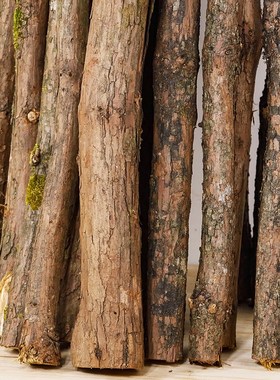 杉木原木树干围栏实木干树干落地造景装饰造型树原木树枝干干木头