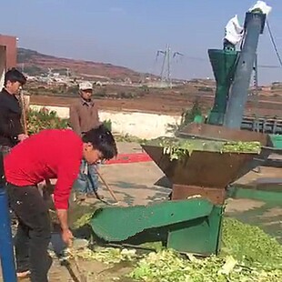 动物养殖饲料机设备 秸秆粉碎破碎机 小型家用饲料粉碎机