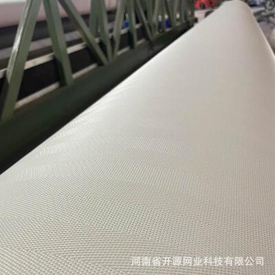 带式压滤机网带 16903污泥脱水滤布 果汁压榨网 尾矿干排002A滤带