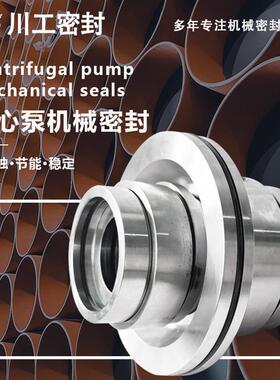 动密封装置 ACP200-400.5SACP250-480.5S BS60 机械密封生产厂家