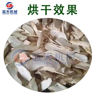 小型智能杏鲍菇烘干机 全自动双孢菇刺芹菇烘干箱 食用菌烘干设备