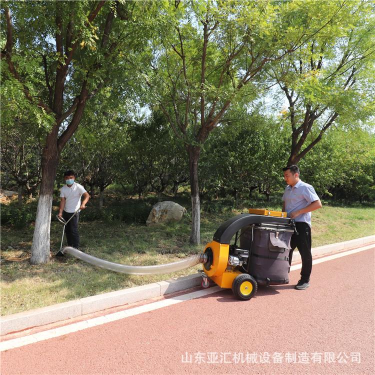 校用树收叶收集机学 道路清扫叶机 42园林户外吸尘吸带吹叶机纳箱