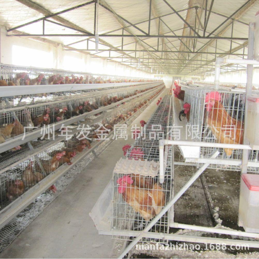 型厂家出口双A层鸡镀锌蛋笼三层四JRD层立式蛋笼养殖蛋鸡笼鸡笼具